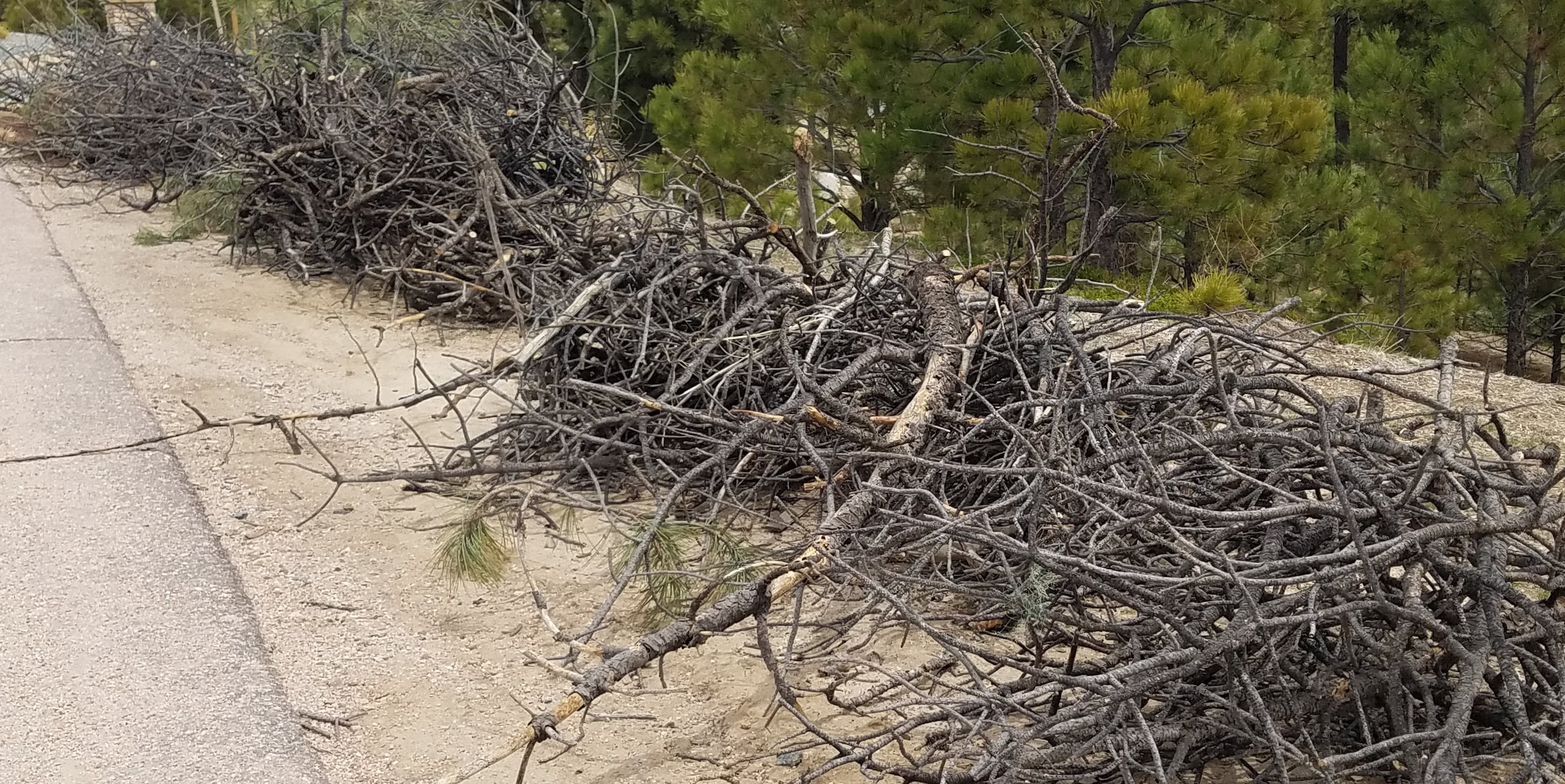 Image of slash piles for wood chipping event.